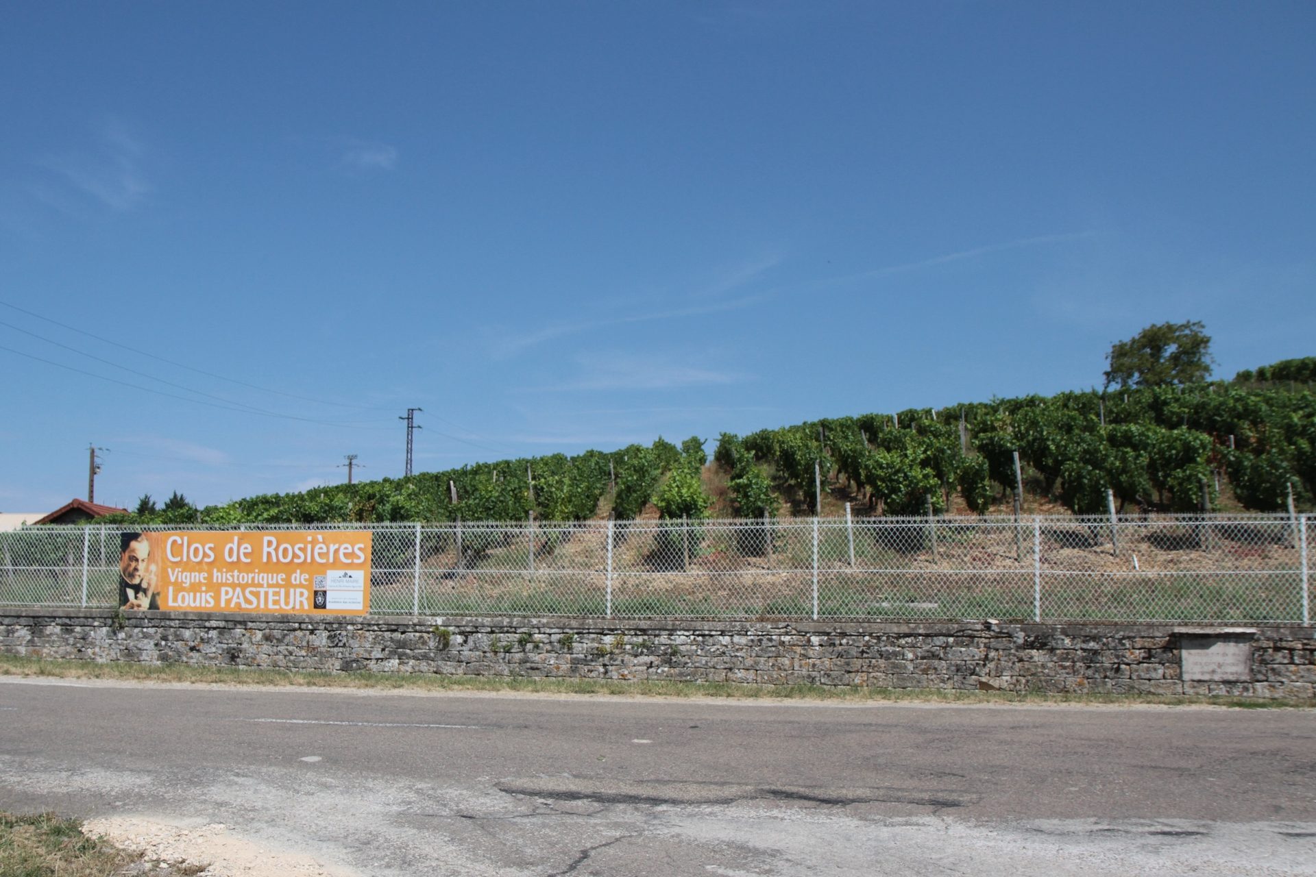 Louis Pasteur historic vineyard, Montigny-les-Arsures - 01.JPG